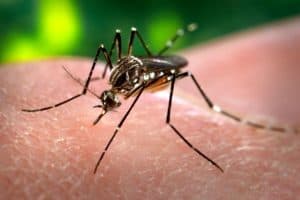 Dengue Outbreak in Ghaziabad