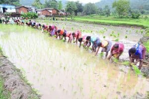 PM Kisan Yojana
