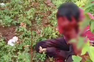 Tiger Attack Katli Borgaon