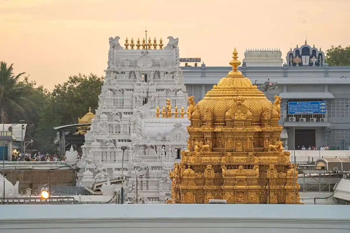 Tirupati Temple Ghee Scam: तिरुपति मंदिर के लड्डुओं में घी घोटाला, सीबीआई ने उजागर किया 5 साल का मिलावटी घी घोटाला, 250 करोड़ की धोखाधड़ी