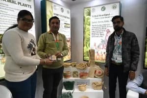 IITF 2025