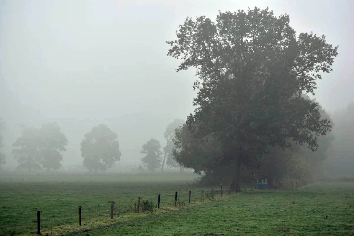 UP Weather: उत्तर प्रदेश में मौसम का बड़ा बदलाव, तापमान बढ़ने से ठंड में मिलेगी राहत