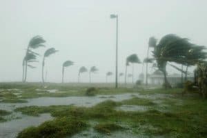 Cyclone Ditwah: श्रीलंका विनाश के बाद भारत की ओर बढ़ रहा चक्रवाती तूफान, तमिलनाडु-केरल को खतरे