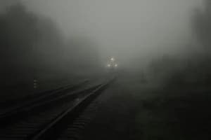 Delhi Darbhanga Humsafar Train Delay: दिल्ली से दरभंगा हमसफर सहित कई ट्रेनें घंटों लेट चल रही हैं