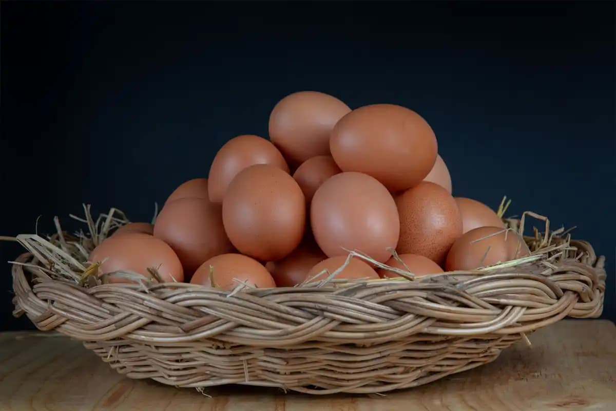 रात में अंडा खाना सेहत के लिए फायदेमंद या नुकसानदेह? जानें विशेषज्ञ की राय