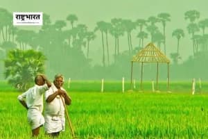 Krishi Samruddhi Yojana: किसानों के लंबित अनुदान पर सरकार का जवाब, 25000 करोड़ की योजना को मिली मंजूरी