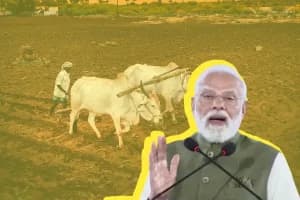Copra MSP 2026: नारियल किसानों के लिए बड़ी राहत, जानें नया समर्थन मूल्य