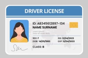 Driving License