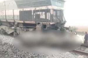 Assam Train Accident: राजधानी एक्सप्रेस से टकराकर आठ हाथियों की मौत, कई डिब्बे पटरी से उतरे