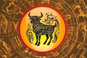 Vrishabh Rashi 2026: वृषभ राशिफल में जानें करियर, प्रेम और स्वास्थ्य की पूरी जानकारी
