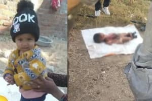 Nagpur Narsala Animal Attack On Child: नरसाला में झोपड़पट्टी में मासूम बच्ची की दर्दनाक मौत, जानवर ने किया हमला