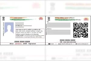 Tadoba Safari Fraud: ताडोबा में स्थानीय कोटा धोखाधड़ी का पर्दाफाश, वन विभाग ने दर्ज कराया मामला