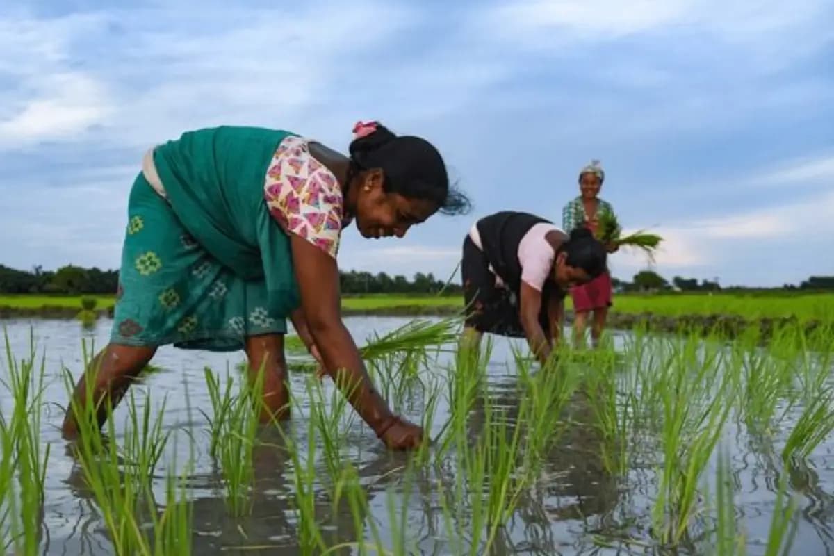 Maharashtra Farmers Relief: किसानों को बड़ी राहत, 2 लाख रुपये तक के कृषि ऋण पर स्टाम्प शुल्क पूरी तरह माफ