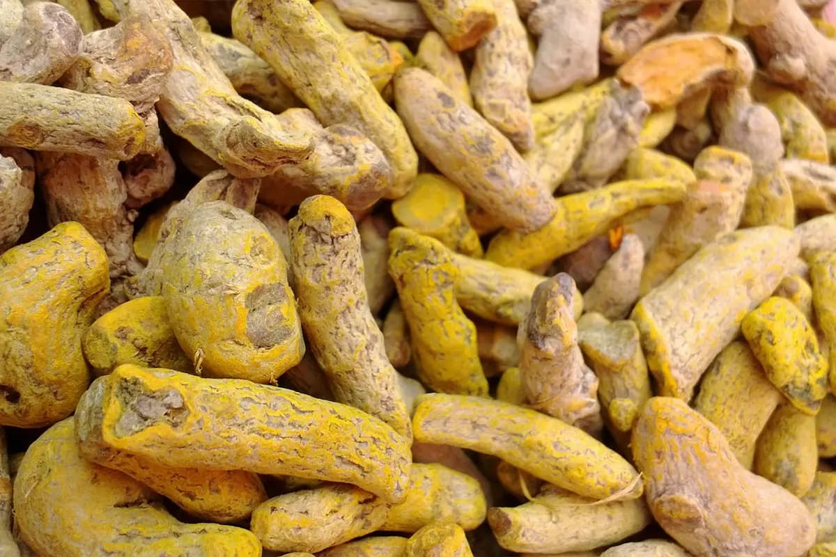 Hingoli Trader Fraud: शिरड शहापुर के हल्दी व्यापारी से 14 लाख की ठगी, गुजरात के तीन व्यापारियों पर मामला दर्ज