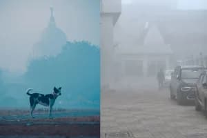 Kolkata Temperature Drops: कोलकाता में तापमान गिरा 10.2 डिग्री, ठंड का अलर्ट जारी