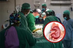 Chandrapur Farmers Kidney Case: साहूकारी से पीड़ित किसान करेंगे कांग्रेस नेता विजय वडेट्टीवार से मुलाकात