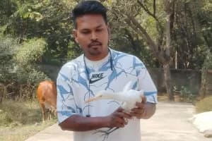 Hingna Nylon Manja Rescue: हिंगणा में बगुले को नायलॉन मांजा से बचाया गया