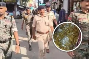 Nagpur Gold Lockers Found: पार्टी पुलिस स्टेशन क्षेत्र में मिली सोने की तिजोरियां, जांच जारी