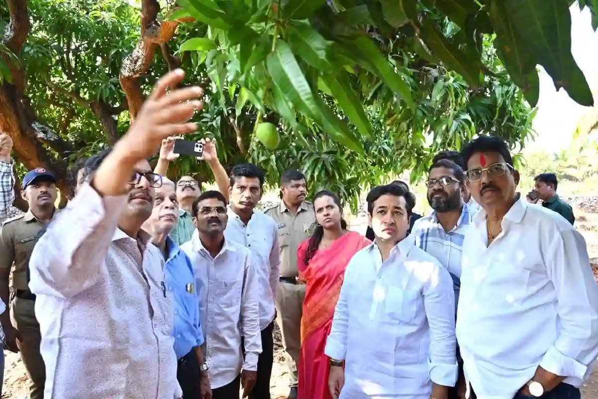 AI for Mango Farmers: महाराष्ट्र सिंधुदुर्ग के आम उत्पादकों को ‘AI’ का कवच, जलवायु संकट से निपटने को 4.5 करोड़ का फंड मंजूर