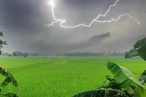 Maharashtra unseasonal rain hailstorm alert March April: 30 मार्च से 4 अप्रैल तक महाराष्ट्र में तेज बारिश व ओलावृष्टि का अलर्ट। किसानों को रबी फसल सुरक्षित रखने की सलाह।