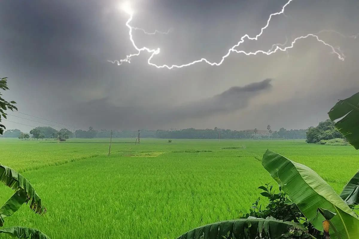 महाराष्ट्र में 30 मार्च से 4 अप्रैल तक गरज-चमक के साथ तेज बारिश और ओलावृष्टि का अनुमान, किसान रहें सतर्क