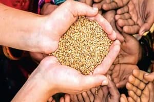 सरकार का बड़ा फैसला! अप्रैल में मिलेगा तीन महीने का राशन एक साथ