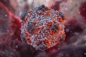 Hantavirus: चूहों से फैलने वाला खतरनाक वायरस, इसकी दवा भी नहीं; जानिए लक्षण और बचाव के तरीके