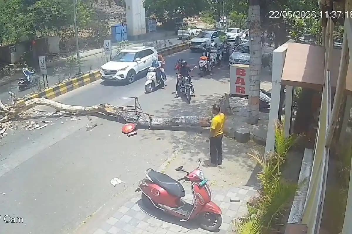 Nagpur News: अंबाझरी लेक रोड पर विशाल पेड़ गिरने से बड़ा हादसा टला