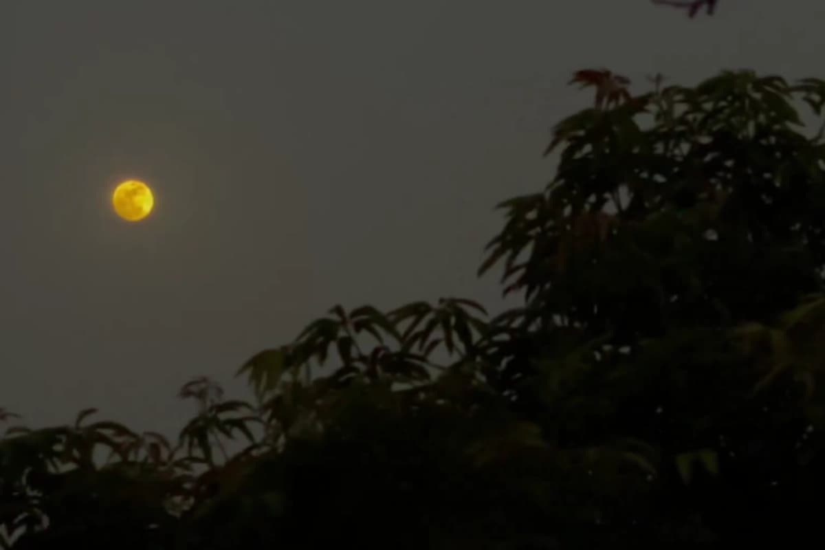 आज शाम आसमान में दिखेगा दुर्लभ ‘ब्लू मून’ का अद्भुत नजारा, जानिए भारत में देखने का सही समय