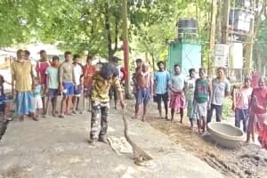 Jhargam Garigram Python Rescue: झाड़ग्राम के गड़ीग्राम में पानी पंप के कमरे से मिला विशाल अजगर, सुरक्षित बचाकर वन विभाग को सौंपा गया