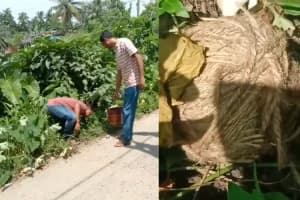 Haroa Live Bomb Recovered: हाड़ोवा के ज्यांगालाटी गांव में सड़क किनारे मिला ताजा बम, जांच में जुटी पुलिस