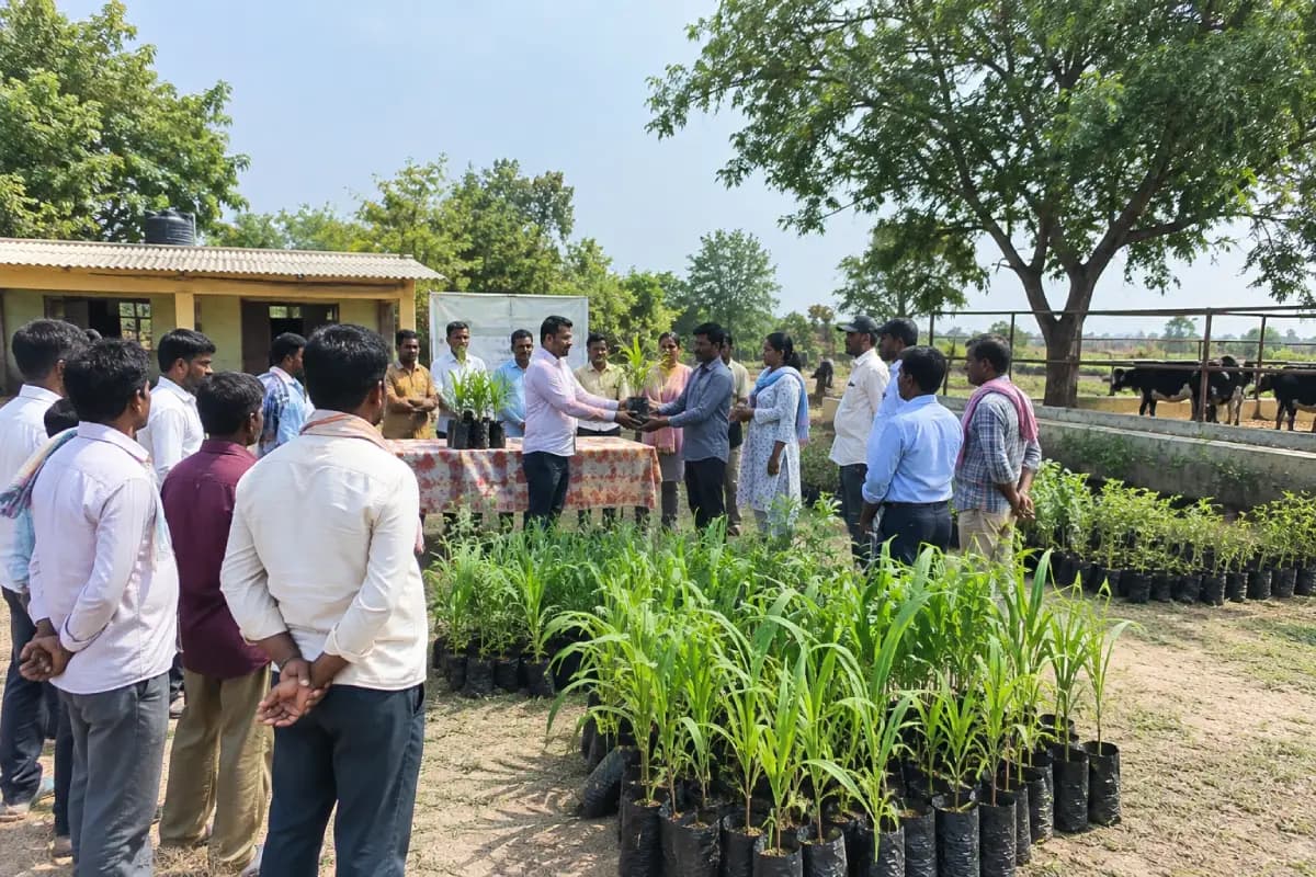 नागपुर के जलालखेड़ा में 50 पशुपालकों को 3 हजार बहुवर्षीय चारा पौधों का वितरण