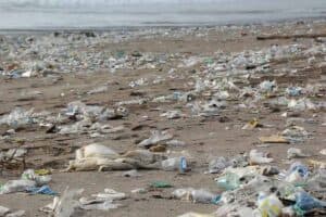 Ganga Plastic Pollution