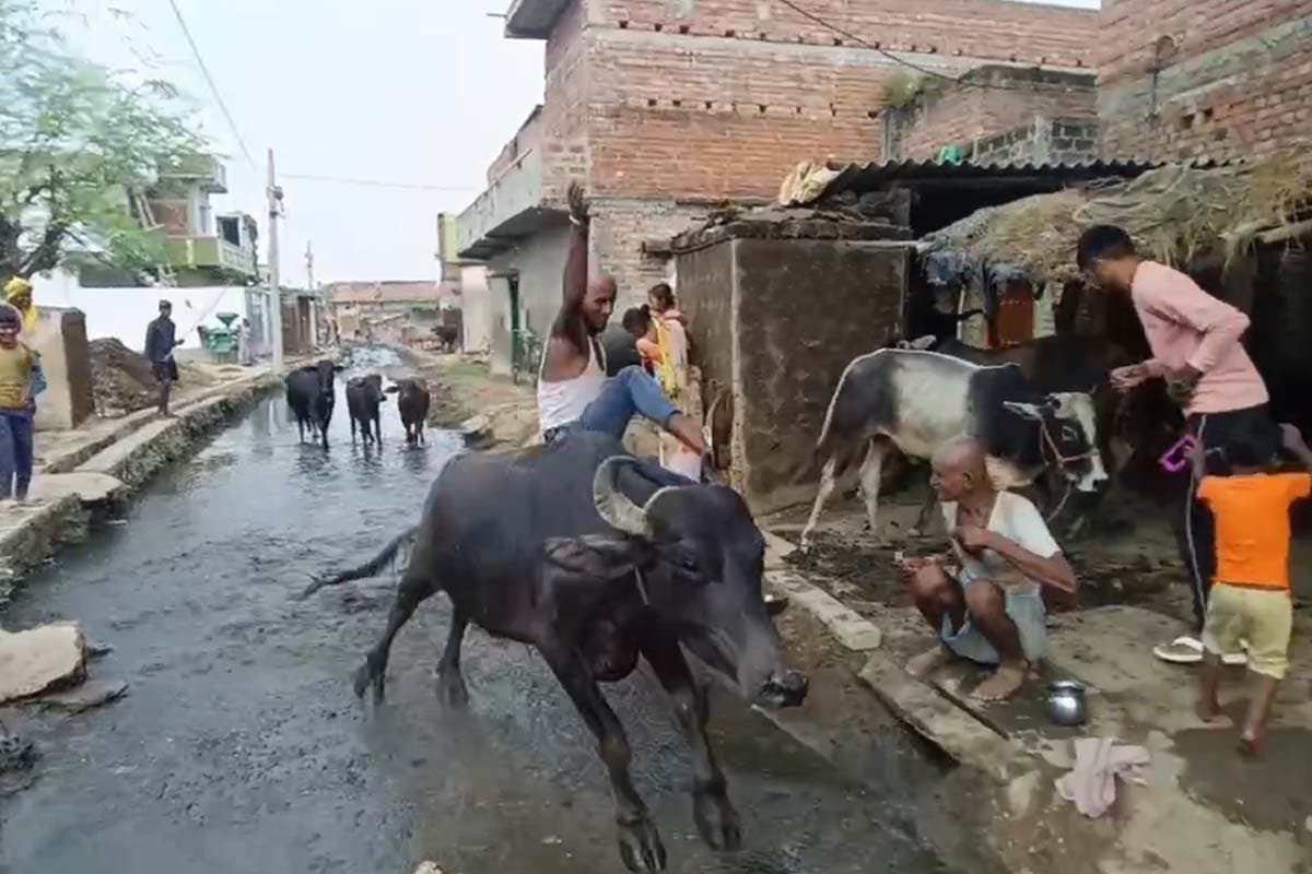 नालन्दा में मतदाता विरोध से मची राजनीतिक हलचल, वायरल वीडियो ने बढ़ाई सरगर्मी