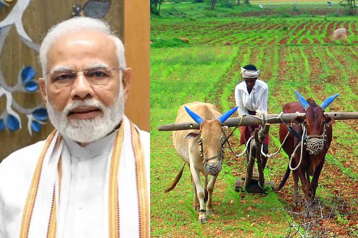 PM Kisan Yojana: 21वीं किस्त का इंतजार खत्म होगा कब? किसानों के खातों में कब आएंगे 2-2 हजार रुपये