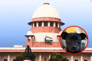 Supreme Court