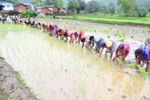 PM Kisan 21st Installment: