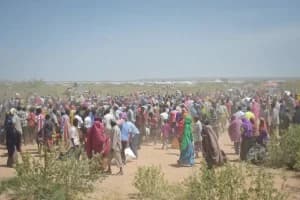 Hakimpur Checkpost Border News: SIR समाप्त होने के बाद भी हाकिमपुर चेकपोस्ट पर सैकड़ों बांग्लादेशी नागरिकों की भीड़