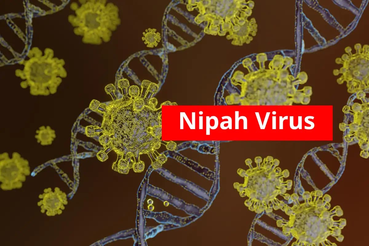 Nipah Virus: कल्याणी में निपाह वायरस के दो संदिग्ध मामले, केंद्र ने भेजी विशेषज्ञ टीम