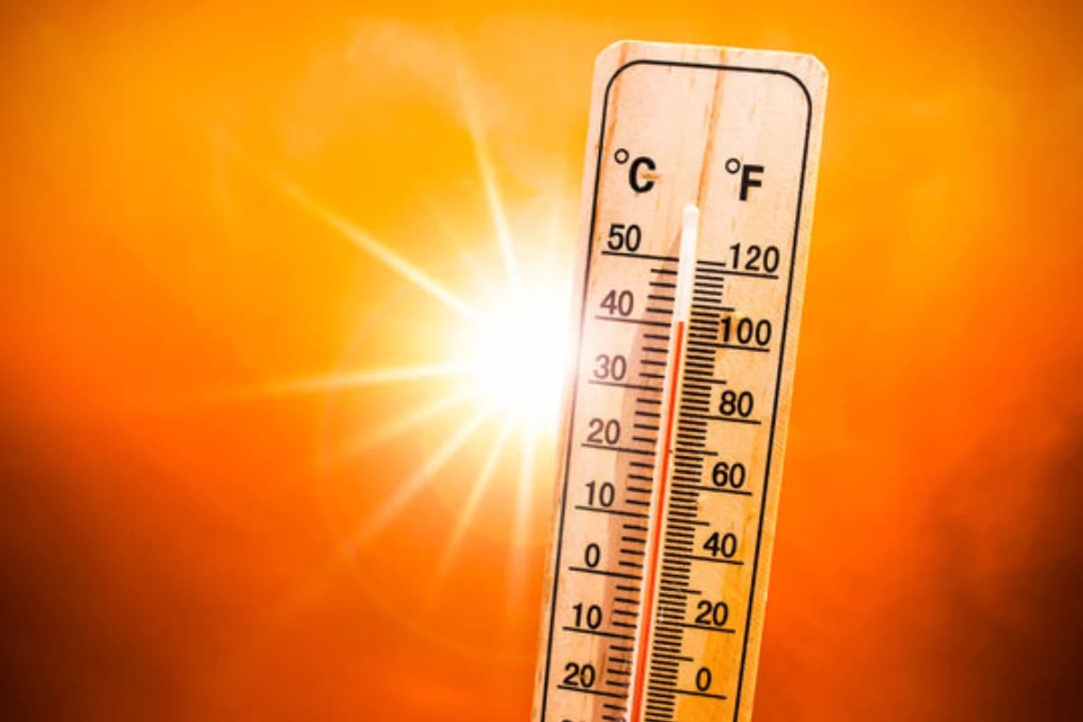 Delhi Weather: दिल्ली वालों, पंखा निकाल लो…फरवरी में ही गर्मी दिखाने लगी तेवर, तेजी से बढ़ रहा तापमान
