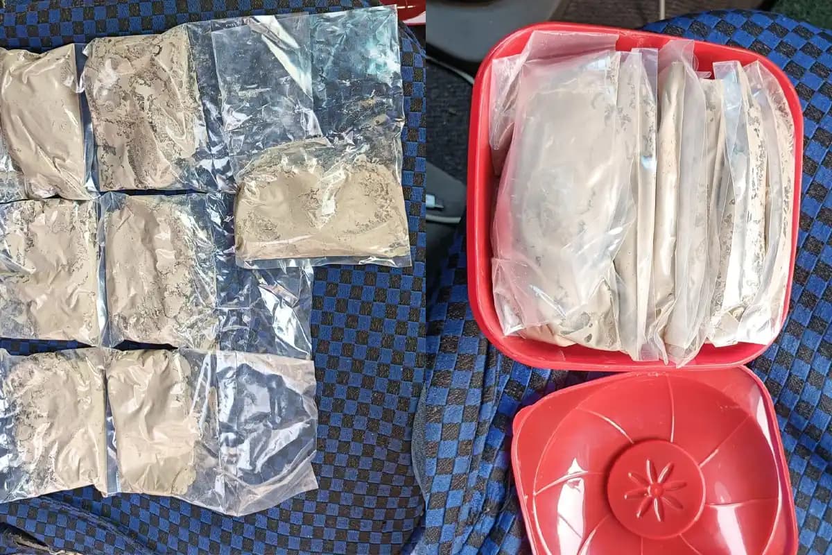 रायगंज में STF और कोलकाता पुलिस की बड़ी कार्रवाई, टिफिन बॉक्स में छुपाई 700 ग्राम हेरोइन के साथ 18 साल का युवक गिरफ्तार