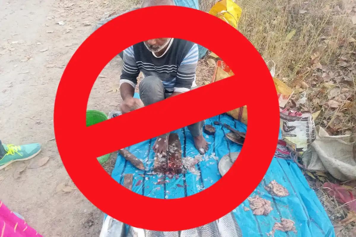 बिहार सरकार का बड़ा फैसला! खुले में नहीं बिकेगी मांस-मछली, दुकानदारों के लिए लाइसेंस अनिवार्य