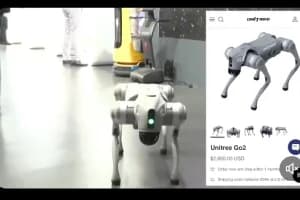 AI Summit 2026: विदेशी रोबोट पर बवाल, गलगोटिया यूनिवर्सिटी को एक्सपो से हटाया गया