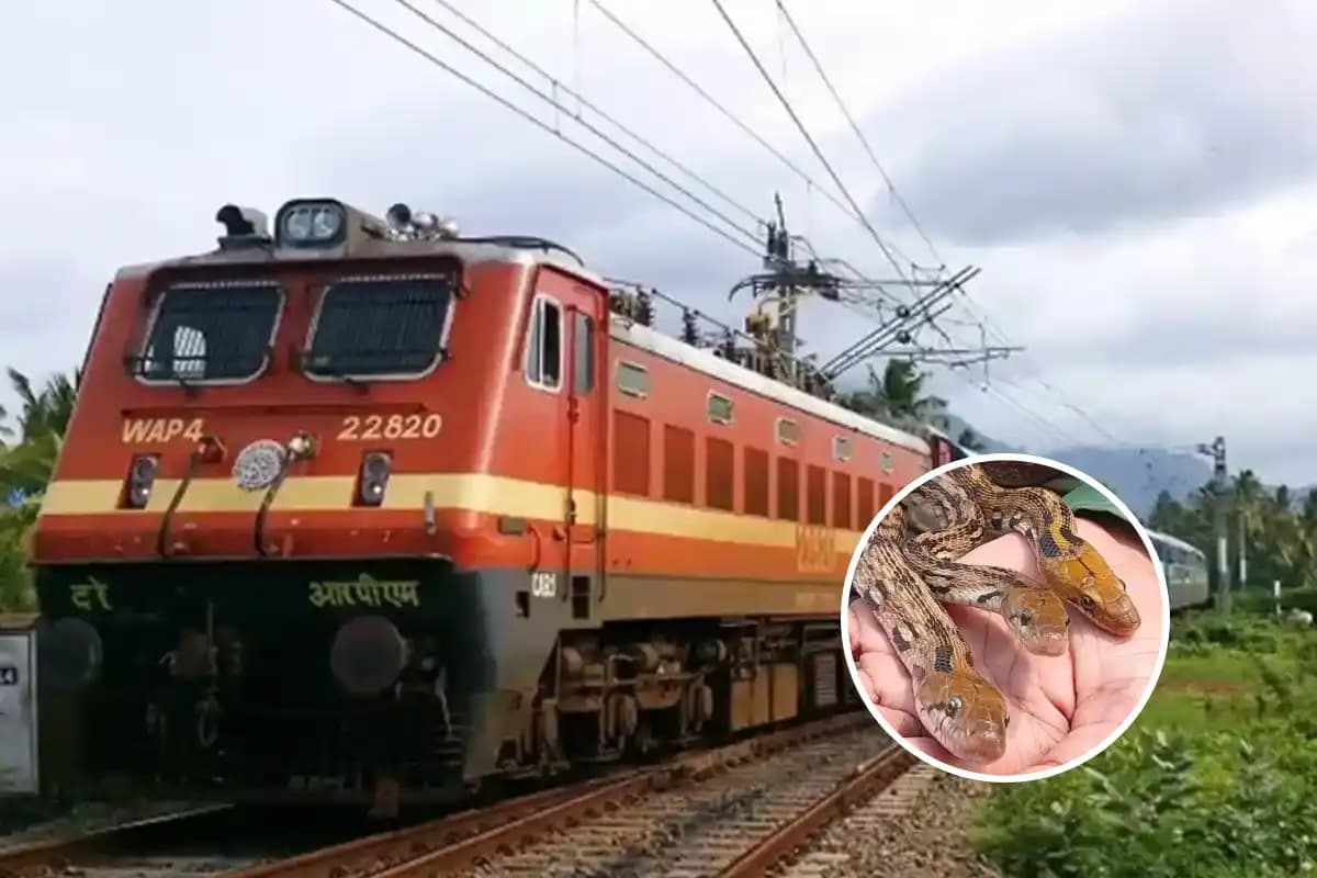 Nagpur: नागपुर आ रही विशाखापत्तनम एक्सप्रेस के बाथरूम में सांप, यात्रियों में मची अफरातफरी