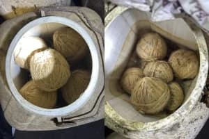 West Bengal South 24 Parganas illegal arms arrest: बिजॉयगंज बाज़ार में अवैध हथियार और 28 बम के साथ दो युवक गिरफ्तार