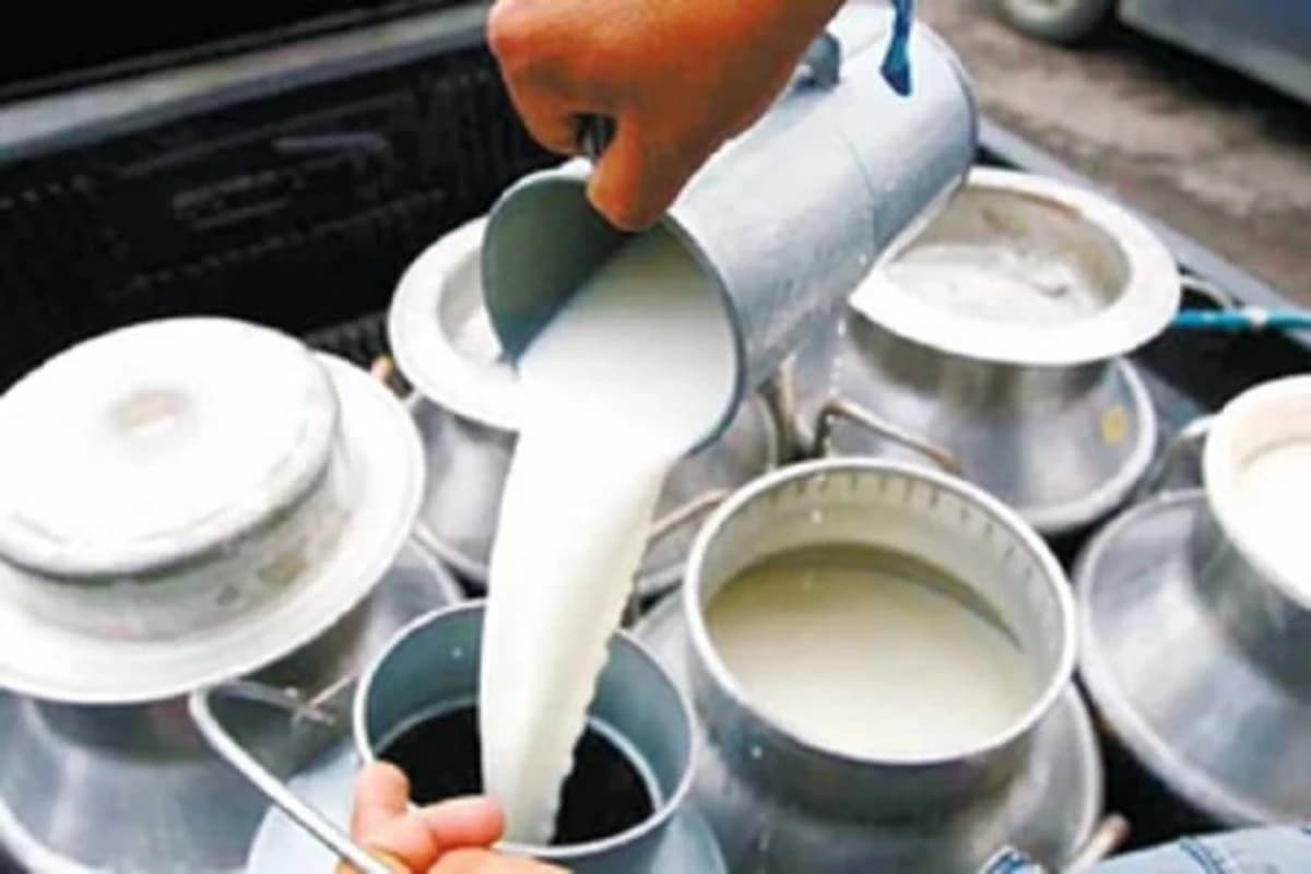 दूध में मिलावट पर सख्त हुआ FSSAI, अब दूध बेचने वालों के लिए लाइसेंस अनिवार्य