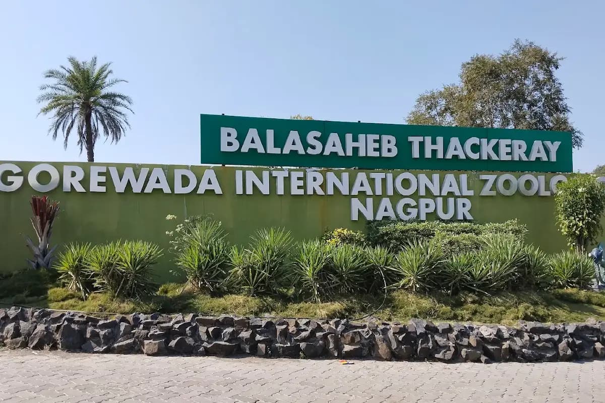 Nagpur News: गोरेवाड़ा चिड़ियाघर की दीवार ऊँची होगी, दाभा में तेंदुए की घुसपैठ रोकने के निर्देश – विधानसभा में बड़ी घोषणा