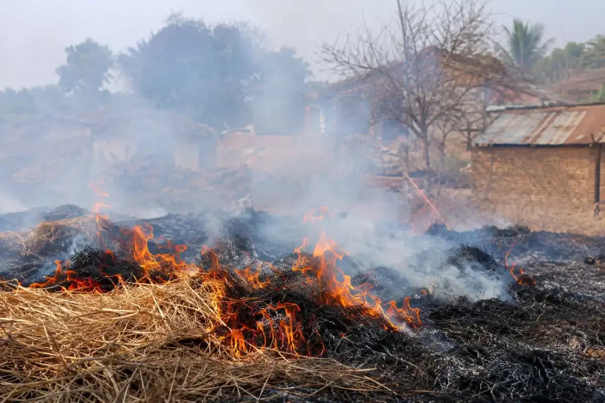 Nagpur News: खेतों में फसल का कचरा जलाने पर सख्त रोक, नागपुर प्रशासन ने जारी किया आदेश