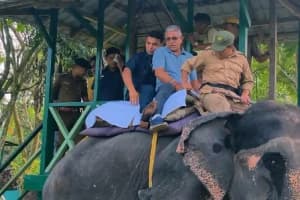 Dilip Ghosh Gorumara jungle safari Jalpaiguri: पत्नी के साथ जंगल सफारी पर निकले मंत्री, गोरुमारा के वन्यजीवों और प्राकृतिक सुंदरता का लिया आनंद