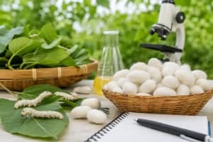 MSc Zoology Sericulture Diploma Nagpur University: नागपुर विश्वविद्यालय में एमएससी प्राणीशास्त्र के साथ रेशम पालन डिप्लोमा पाठ्यक्रम को मिली मंजूरी
